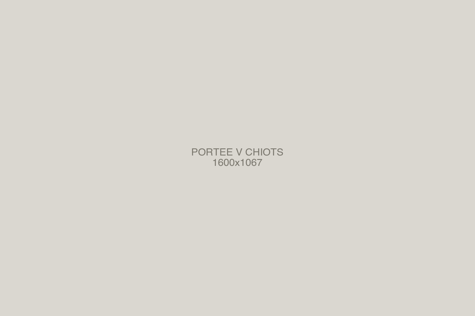 Chiots de la portée V à cinq semaines