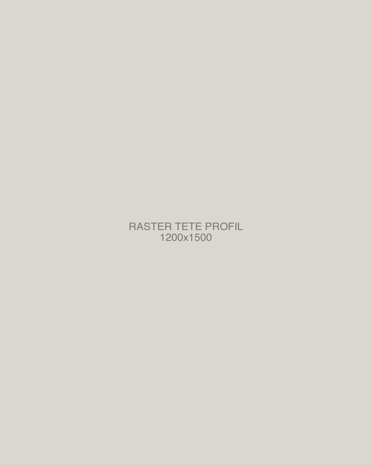 Raster de la Ligne Claire — tête, profil droit