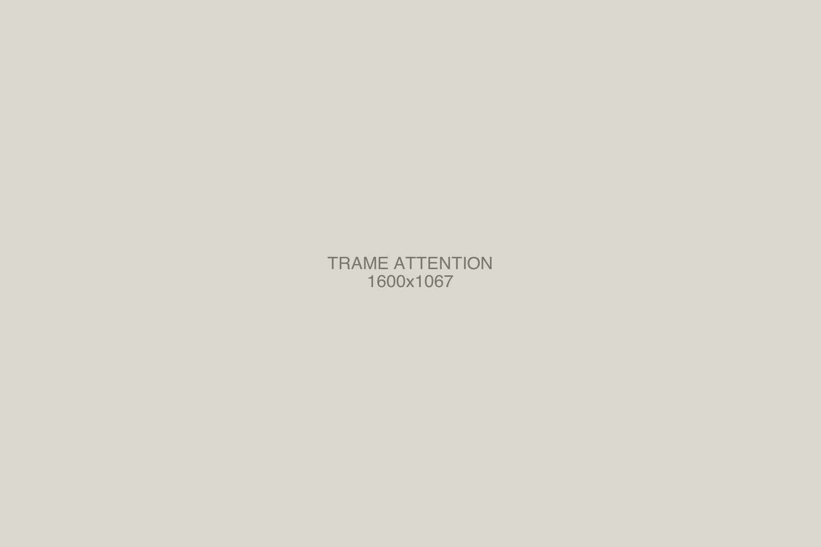Trame de la Ligne Claire en posture d'attente